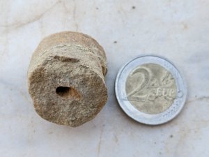 (?)Burrowing hole