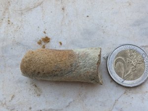 (?)Burrowing hole