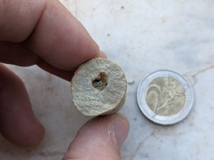 (?)Burrowing hole