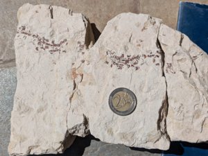 3 large fragments