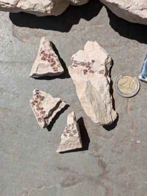 Small fragments