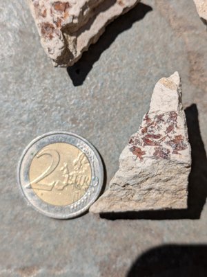 Small fragment C, detail