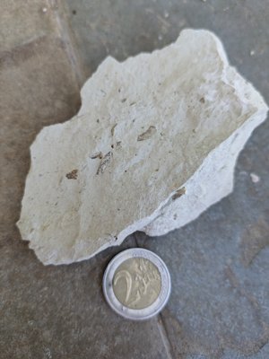 Conical impressions.