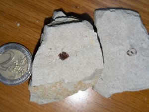 Scale + negative impression