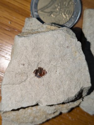 Scale