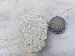 Scale
