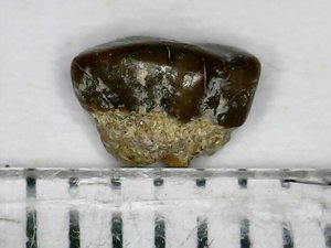 Measurement 3-4mm
