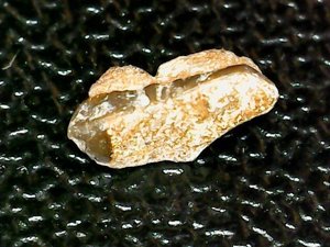 Occlusal view, worn enameloid