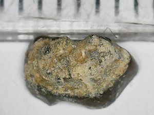 Measurement 5-6mm